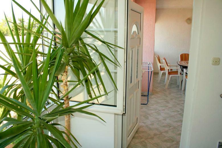 Apartments Mirjana - Stara Novalja Exterior foto